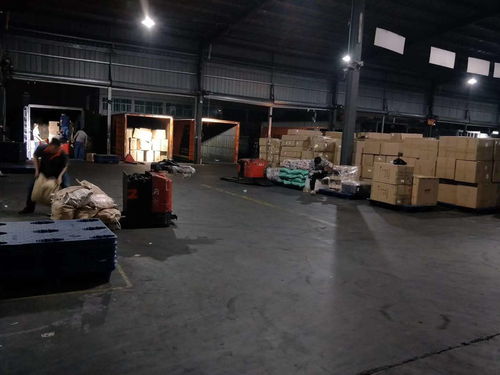 河南焦作至东莞物流专线 高效时效与贴心礼仪服务